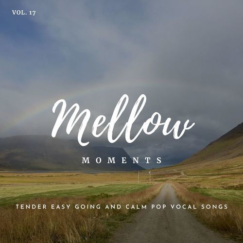 Mellow Moments - Tender Easy Going And Calm Pop Vocal Songs, Vol. 17