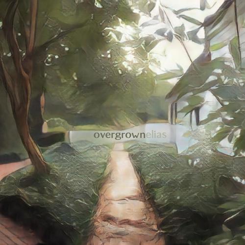 overgrown (a lofi ep)