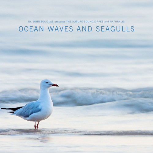 Ocean Waves & Seagulls