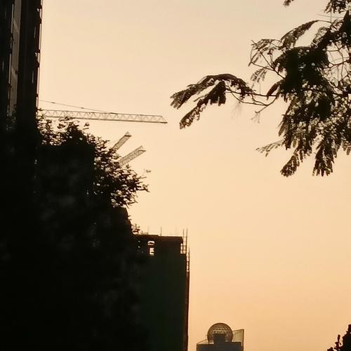 琳琳精选集