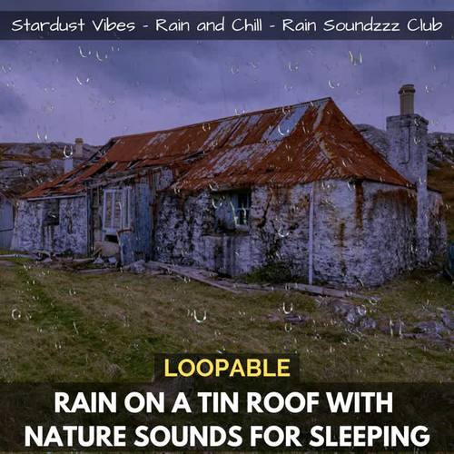 Rain on a Tin Roof with Nature Sounds for Sleep (Loopable)