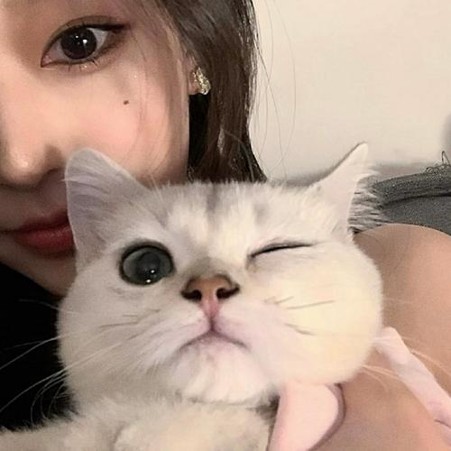 樱花草