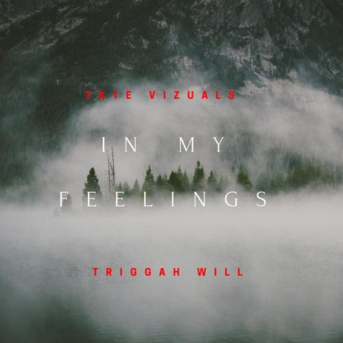 In My Feelings (feat. Triggah Will) [Explicit]