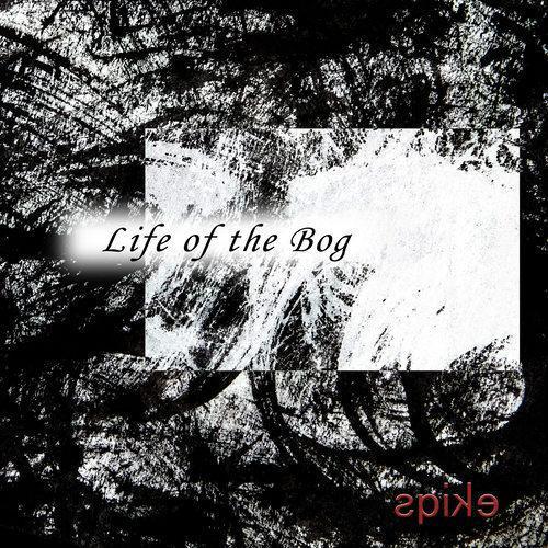 Life of the Bog