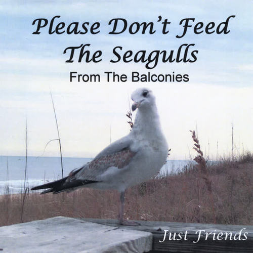 Please Don't Feed the Seagulls from the Balconies