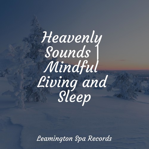 Heavenly Sounds | Mindful Living and Sleep