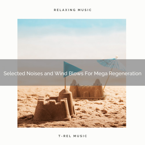 Selected Noises and Wind Blows For Mega Regeneration
