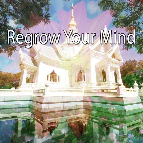 Regrow Your Mind