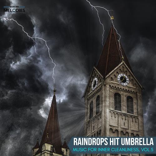 Raindrops Hit Umbrella - Music for Inner Cleanliness, Vol.5