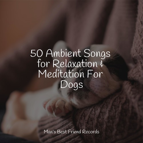 50 Ambient Songs for Relaxation & Meditation For Dogs