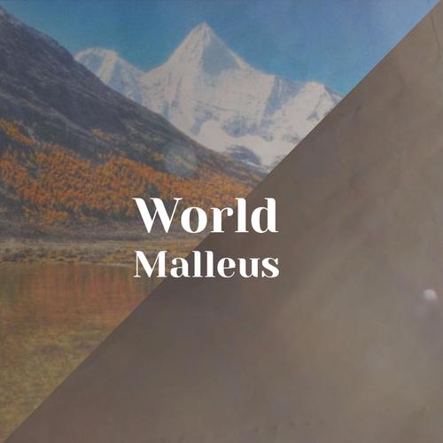 World Malleus