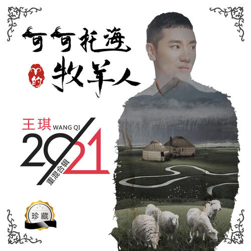 可可托海的牧羊人-王琪2021（重混合辑）