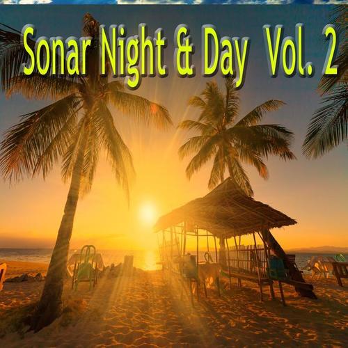 Sonar Night & Day, Vol. 2 (Explicit)