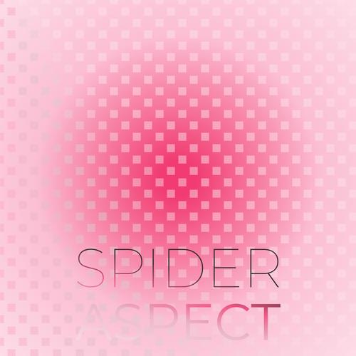 Spider Aspect