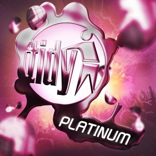 Tidy Platinum