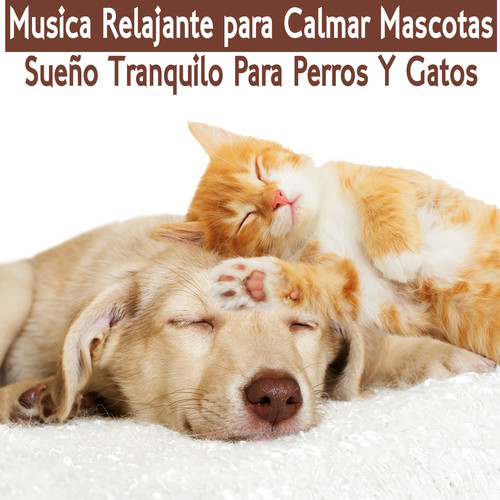 Musica Relajante para Mascotas : Sueno Tranquilo para Perros y Gatos