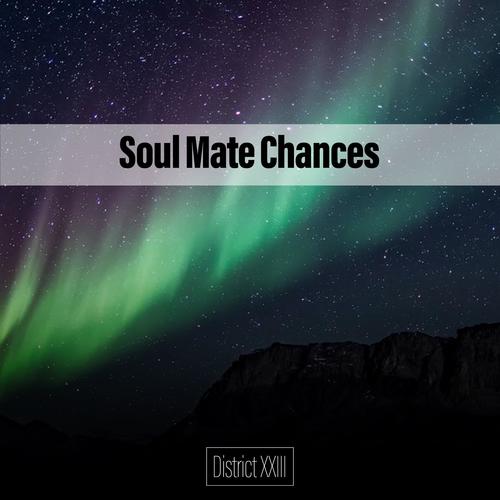 Soul Mate Chances District XXIII