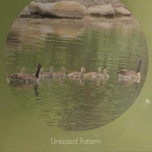 Untested Pattern