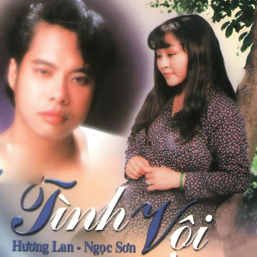 Tình Vội