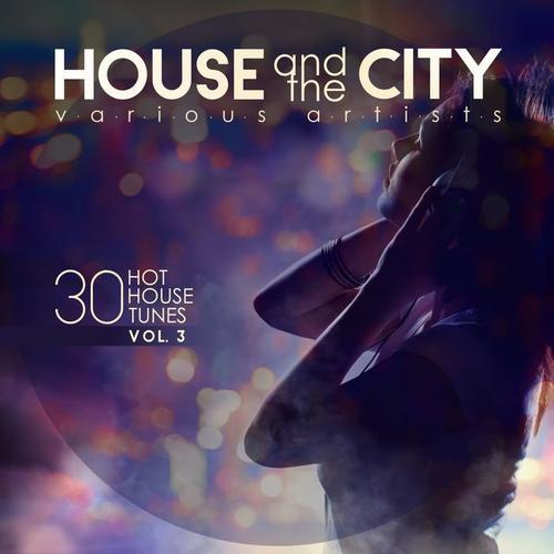 House and the City (30 Hot House Tunes) , Vol. 3