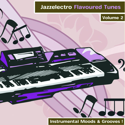 Jazzelectro Flavoured Tunes Vol. 2 - Instrumental Moods & Grooves!