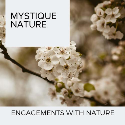 Mystique Nature - Engagements With Nature