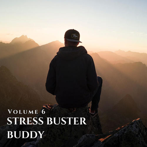 Stress Buster Buddy Vol 6 (Explicit)