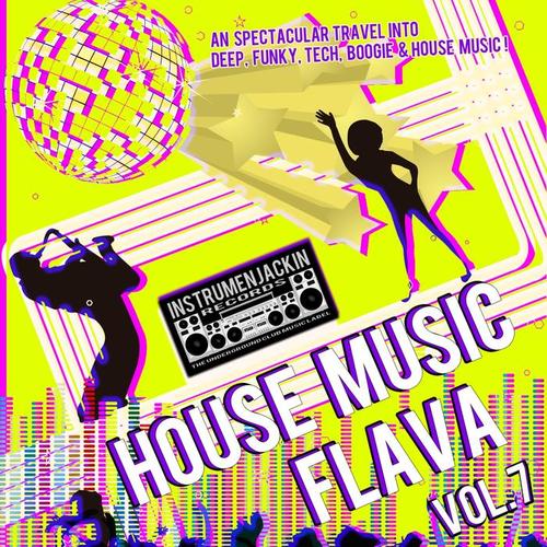 House Music Flava, Vol. 7 (A Spectacular Travel Into Deep, Funky, Tech, Boogie & House Music!)