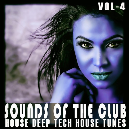 Sounds of the Club, Vol. 4