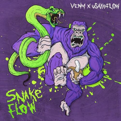 Snake Flow (Explicit)