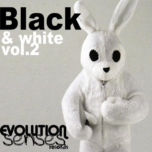 BLACK & WHITE VOL2