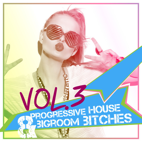 Progressive House & Bigroom Bitches, Vol. 3