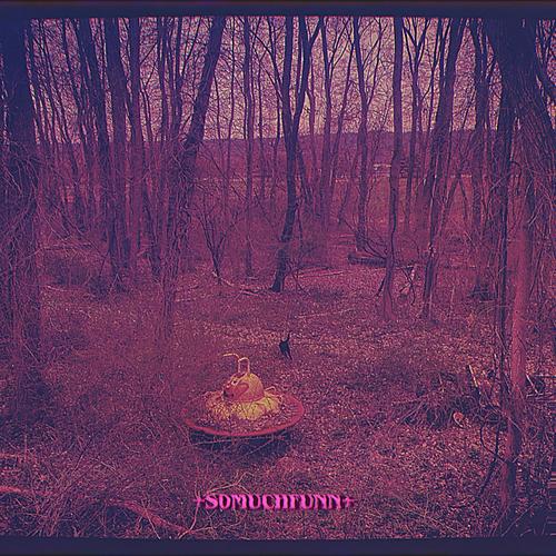 +s0muChFun+ (Explicit)