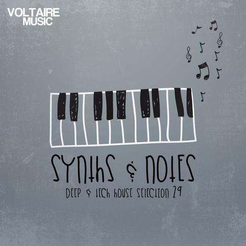 Synths and Notes, Vol. 29