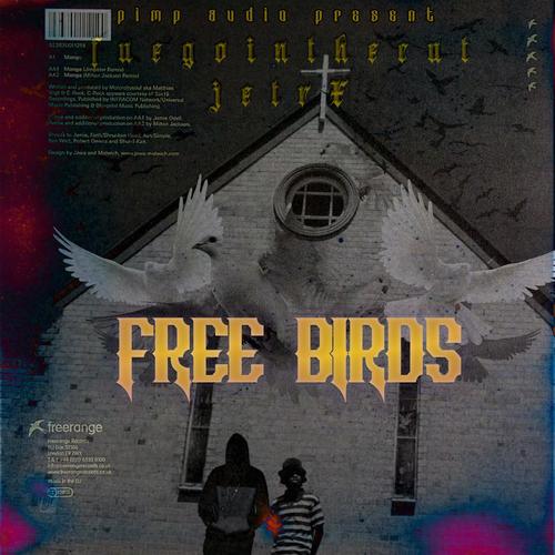 Free Birds (feat. Jetrx) [Explicit]