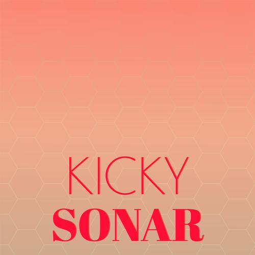 Kicky Sonar