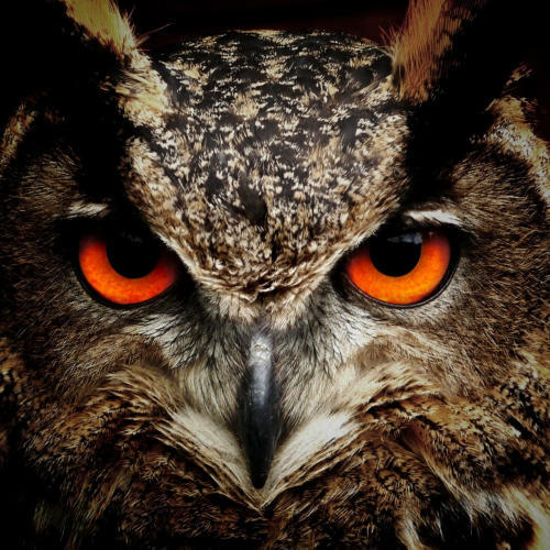 Baari (Arham Ali Mughal Remix)