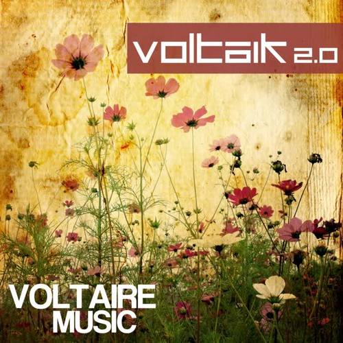 Voltaik 2.0