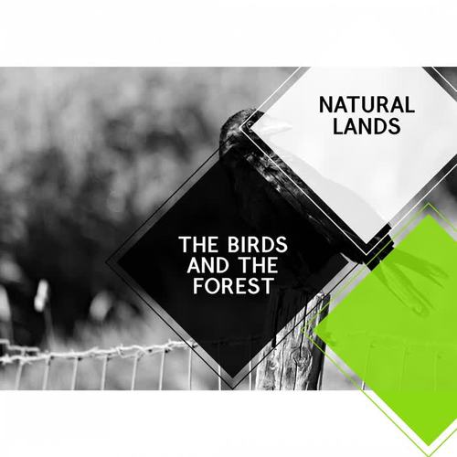 The Birds and The Forest - Natural Lands
