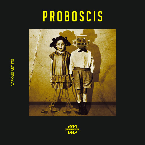 Proboscis