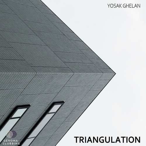 Triangulation