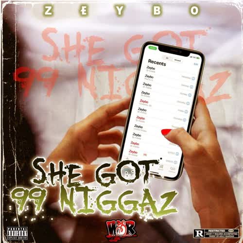 She Got 99 Niggaz (Explicit)