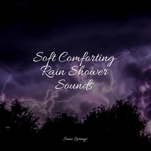 Soft Comforting Rain Shower Sounds