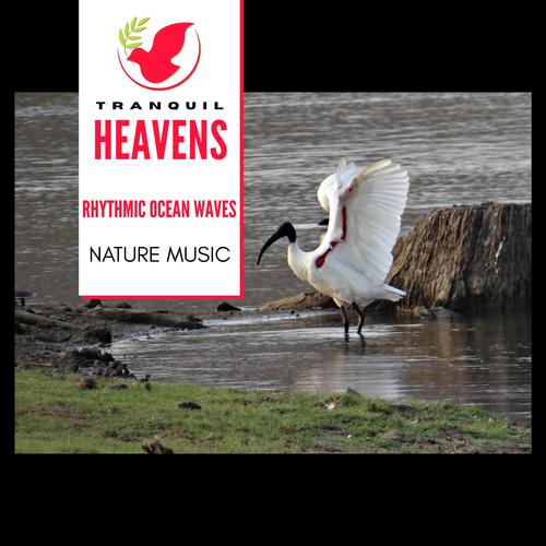 Rhythmic Ocean Waves - Nature Music