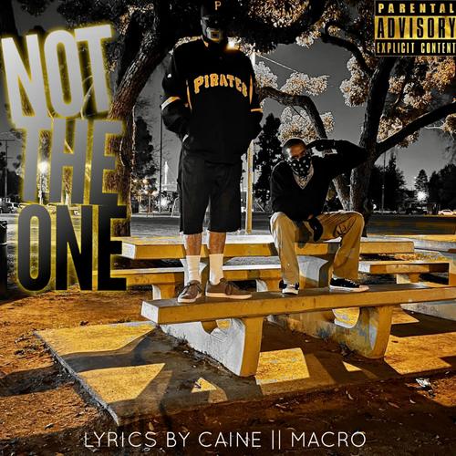 Not The One (feat. Macro) [Explicit]