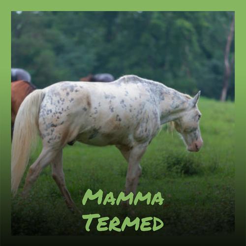 Mamma Termed