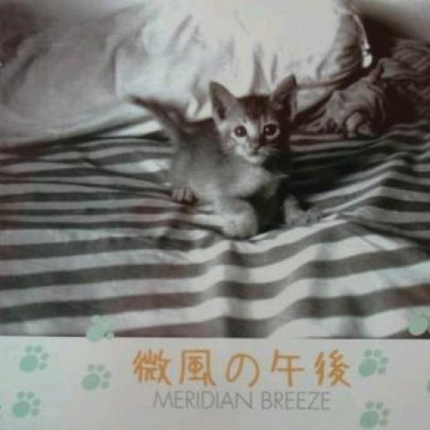 微风の午后