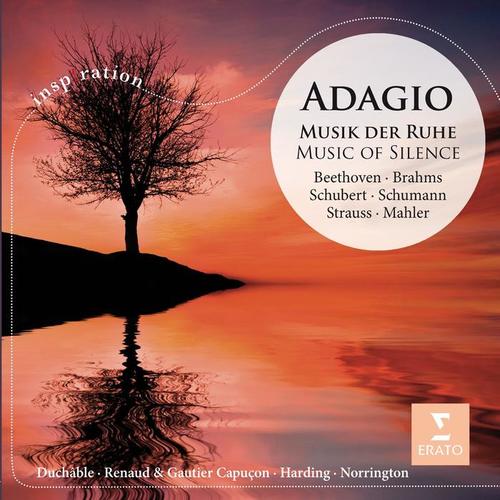 Adagio - Musik der Ruhe / Music of Silence