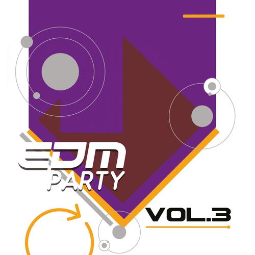 EDM Party: Vol.3