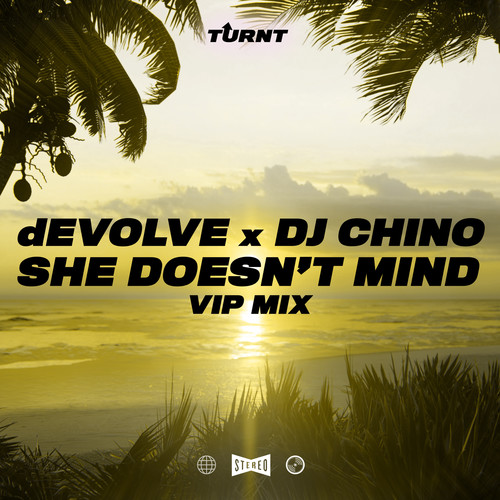 She Doesn't Mind (VIP Mix)